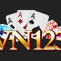 vn123ink