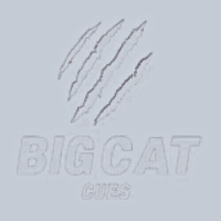 bigcatcues