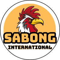 sabonginternationaldev