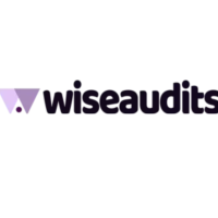 wiseaudit