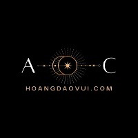 hoangdaovuicom