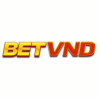 betvnd_pro