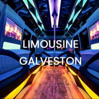 galvestonlimo