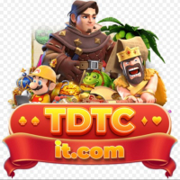 tdtcitcom