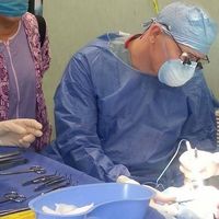 evolveaestheticsurgery