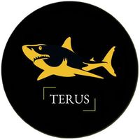 ThietKeWebsiteTerus