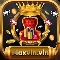 maxvinvin