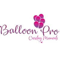birthdaypartyorganizer