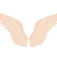 loveandleebridal