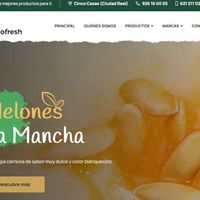 cincofresh