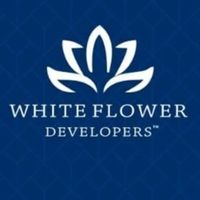 whiteflower01
