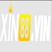 xin88vin