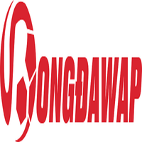 bongdawapvn