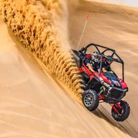safaridesert173