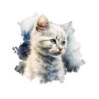 interpetsnyc_