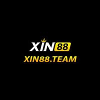 xin88team