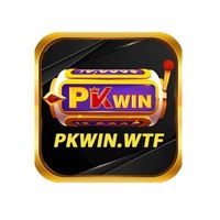 pkwinwtf1