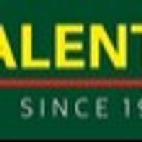 Valentinoindia