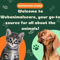 webanimalcare284
