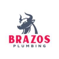 brazorsewerrepair