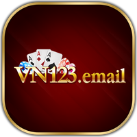 vn123email