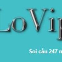lovip24h