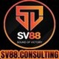 sv88consulting