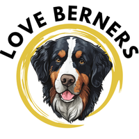 lovebernerspuppies