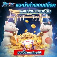 marine88io