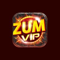 zumvipapp