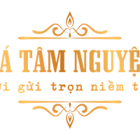 datamnguyen2024