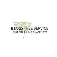 KingsTreeService