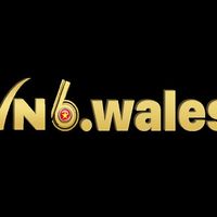 vn6wales