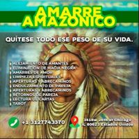 Botanicaamarreamazonico