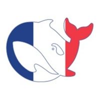 deepseekgratuit