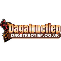 dagatructiepcouk