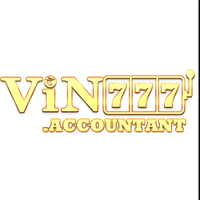 vin777accountant