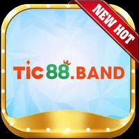 tic88band