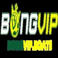 bongvipboats