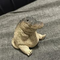 палка