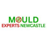 mouldexpertsnewcastle