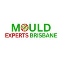 mouldexpertsbrisbane