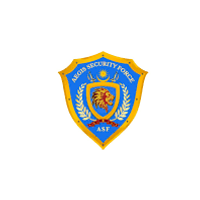 Aegissecurityforce