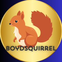 squirrel