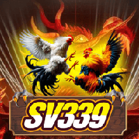 dagasv339ccev