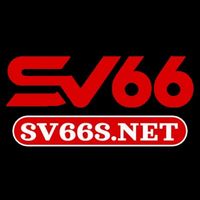 sv66snet