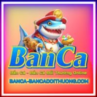 gameb.ancadt