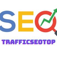 trafficuserseotop