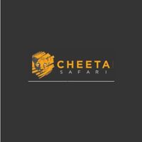 cheetahsafaris