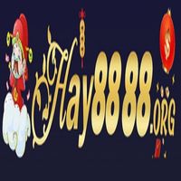 hay8888org